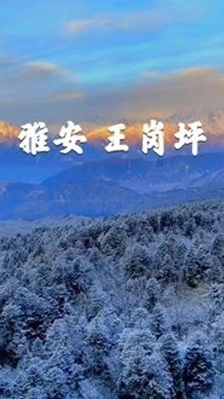 为什么我总被说要摆脱“学生思维”。学生思维到底指的是什么？生活中有哪些“学生思维”的体现？游戏画面