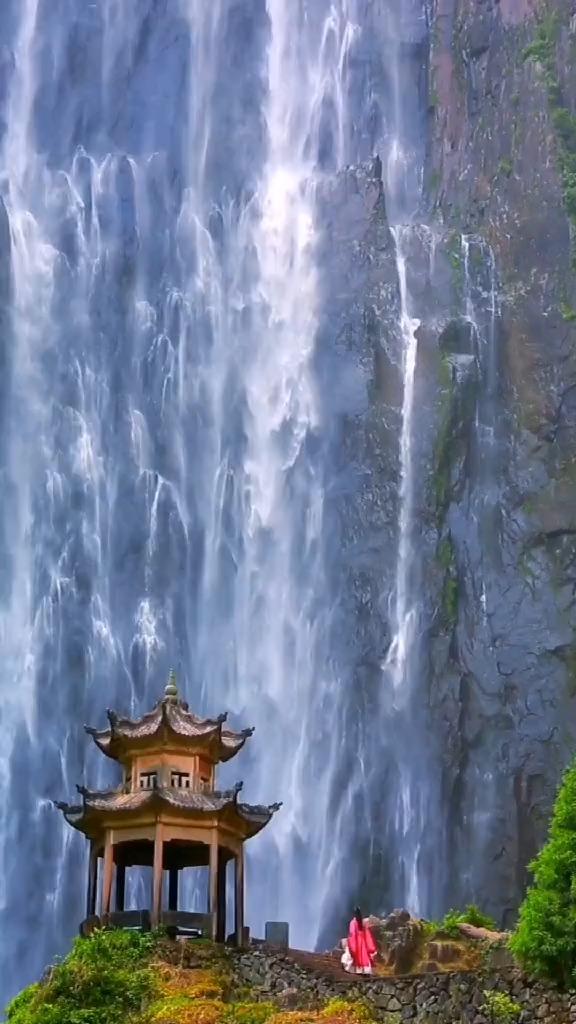 饿狮救援