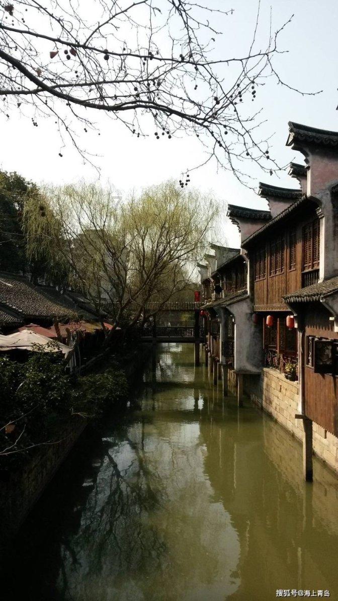 玄凤灰色鹦鹉多少块钱一只啊?——问题解答专家,快速解决疑惑!