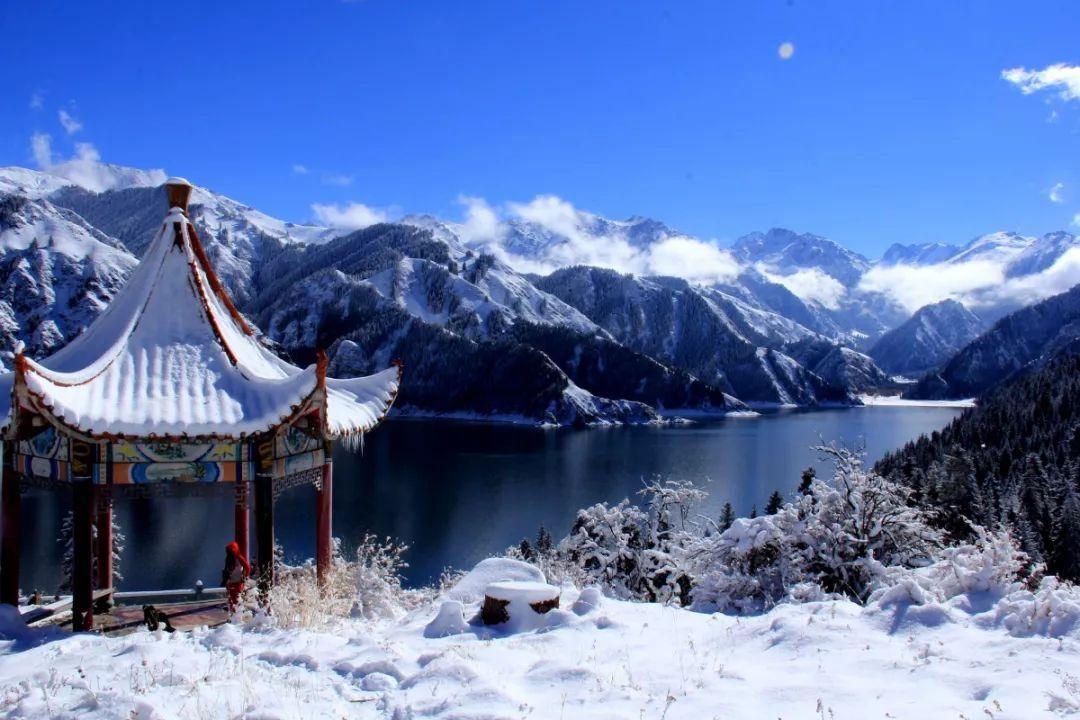 妙鸭相机app下载官网